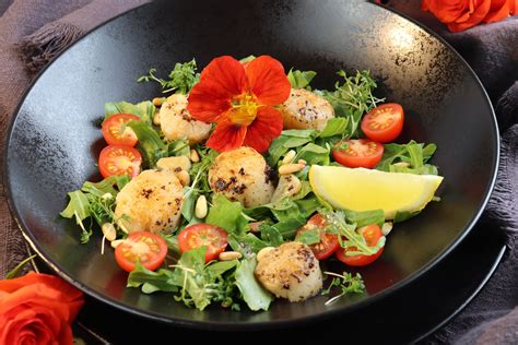 scallops deutsch|tiefseescallops.